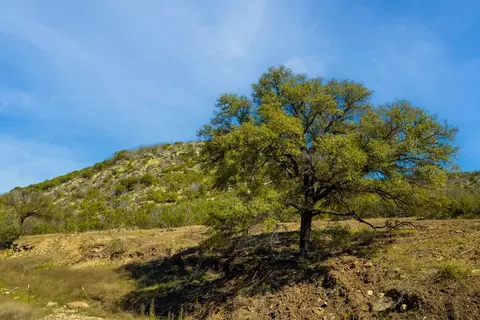 0 Poverty Canyon Rd, Bronte, TX 76933 photo 19