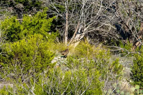 0 Poverty Canyon Rd, Bronte, TX 76933 photo 27