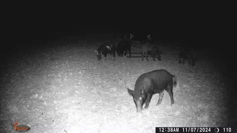 0 Poverty Canyon Rd, Bronte, TX 76933 photo 43