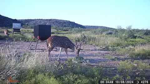 0 Poverty Canyon Rd, Bronte, TX 76933 photo 48