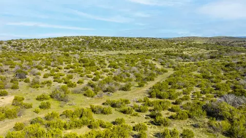 0 Poverty Canyon Rd, Bronte, TX 76933 photo 9