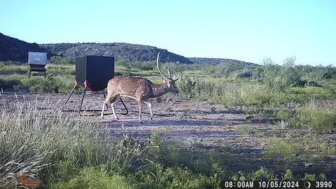 0 Poverty Canyon Rd, Bronte, TX 76933 photo 46
