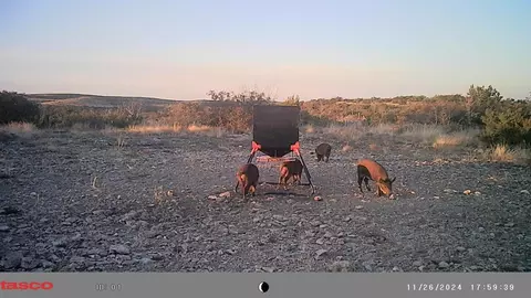 0 Poverty Canyon Rd, Bronte, TX 76933 photo 42