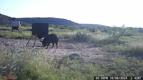 0 Poverty Canyon Rd, Bronte, TX 76933 photo 49