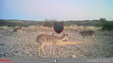 0 Poverty Canyon Rd, Bronte, TX 76933 photo 38