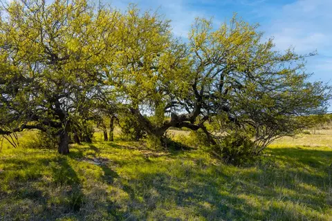 0 Poverty Canyon Rd, Bronte, TX 76933 photo 26