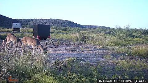 0 Poverty Canyon Rd, Bronte, TX 76933 photo 50