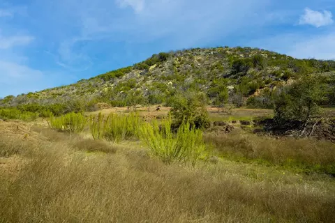 0 Poverty Canyon Rd, Bronte, TX 76933 photo 16