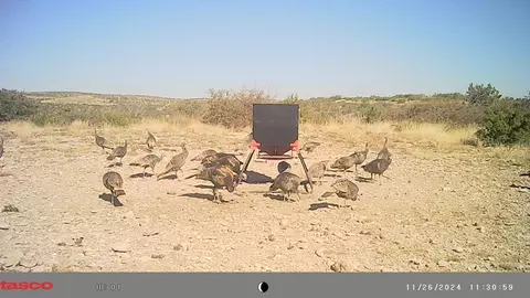 0 Poverty Canyon Rd, Bronte, TX 76933 photo 41