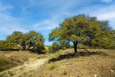 0 Poverty Canyon Rd, Bronte, TX 76933 photo 17