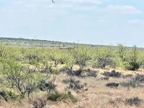0000 Tonn Rd, Big Spring, TX 79720