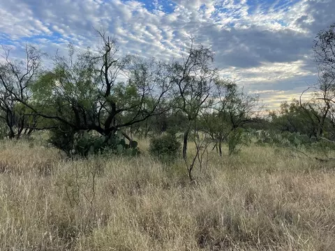 0000 Other, Big Spring, TX 79720 photo 4