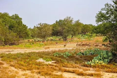 N/a County Rd 102, Ozona, TX 76943