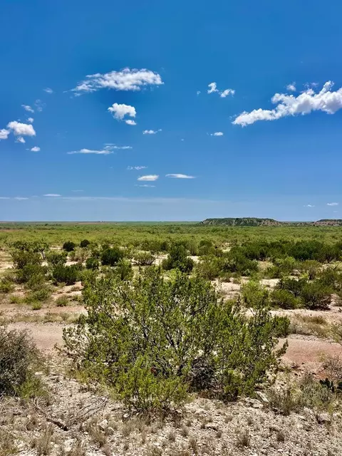 tbd Juniper Rd, Bronte, TX 76933