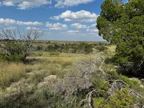 Deer Run Road, Ozona, TX 76943
