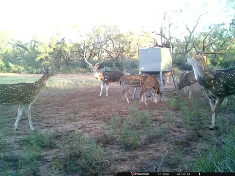 380 Rocky Ln, Tennyson, TX 76933