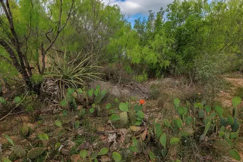 Undisclosed, Lohn, TX 76852 photo 23