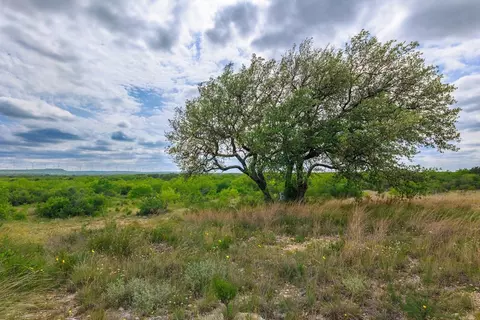 Undisclosed, Lohn, TX 76852 photo 10
