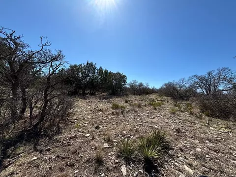 458 Axis Trl, Eldorado, TX 76936 photo 15