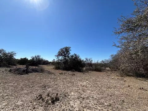 458 Axis Trl, Eldorado, TX 76936 photo 18