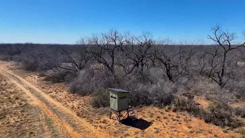 779 Rogers Loop Rd, Bronte, TX 76933 photo 5