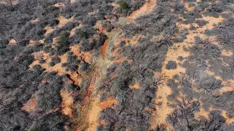 779 Rogers Loop Rd, Bronte, TX 76933 photo 3