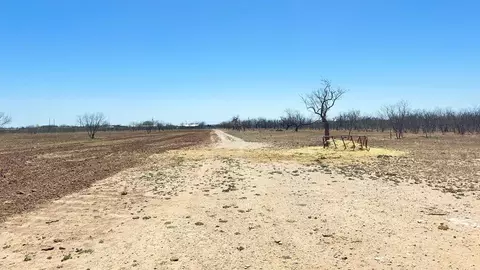 8385 W Grape Creek Rd, San Angelo, TX 76901