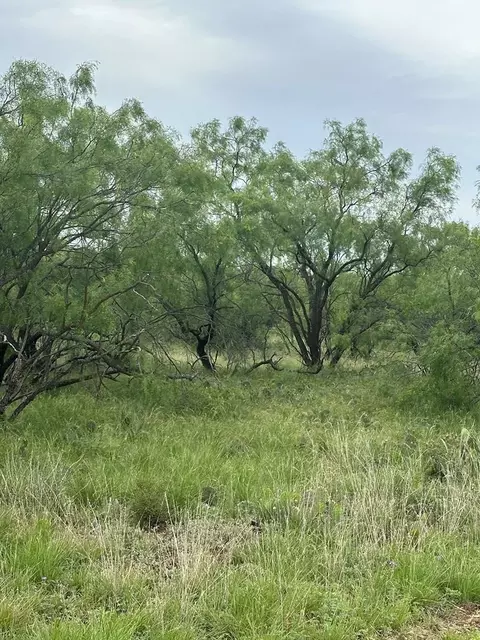 9510 Iron Spoke Trl, Carlsbad, TX 76934