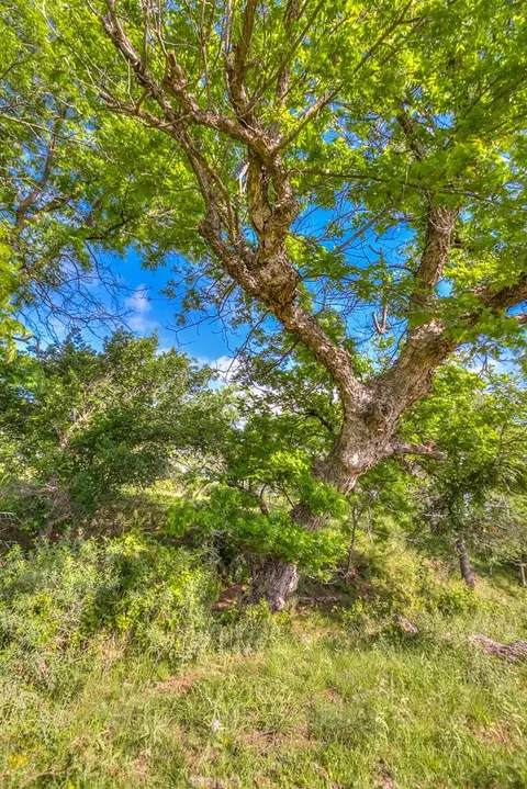 00 Other, Robert Lee, TX 76945 photo 48