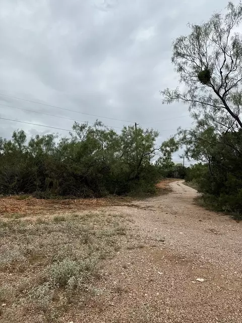 816 Marina Ln, Robert Lee, TX 76945