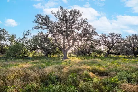 7554 E Hwy 87, Eden, TX 76837