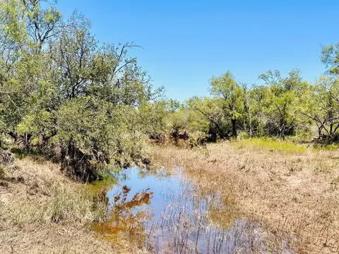 11422 W Grape Creek Rd, San Angelo, TX 76901