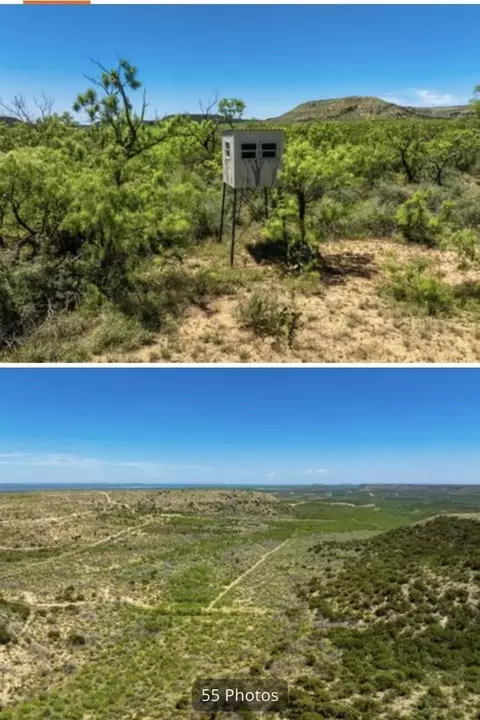 0 Other, Robert Lee, TX 76946 photo 7