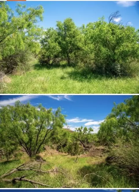 0 Other, Robert Lee, TX 76946 photo 14
