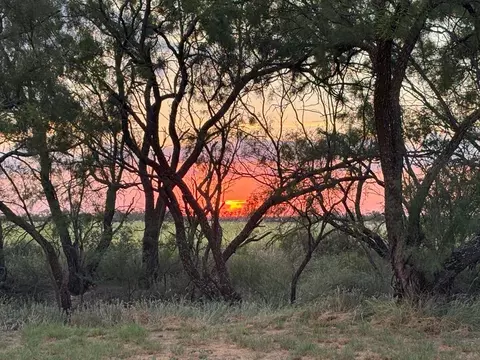 0 Cr 112, Ballinger, TX 76821