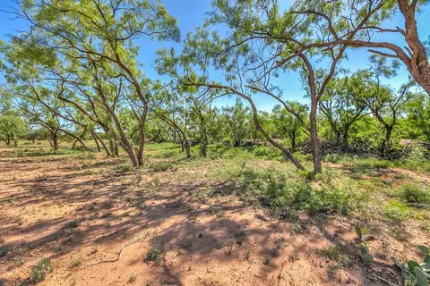 5001 Fm 2333, Bronte, TX 76933 photo 41