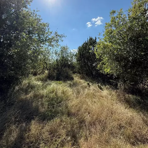 10505 Twin Lakes Ln, San Angelo, TX 76904