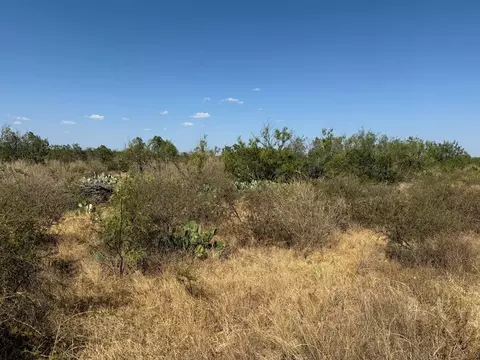 480 Craft Trl, Robert Lee, TX 76945 photo 4