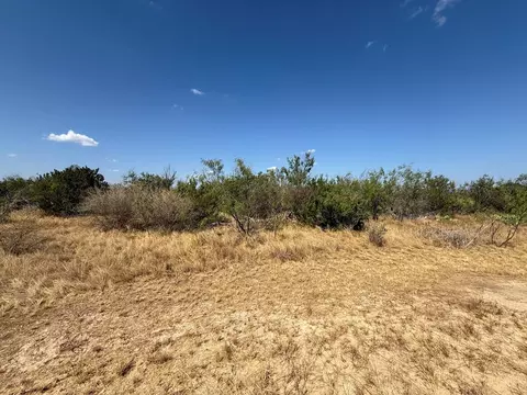 480 Craft Trl, Robert Lee, TX 76945 photo 2