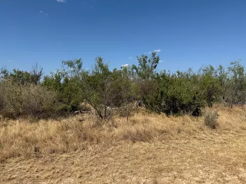 480 Craft Trl, Robert Lee, TX 76945 photo 3