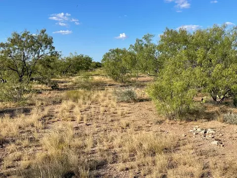 14124 Fm 765, Wall, TX 76905