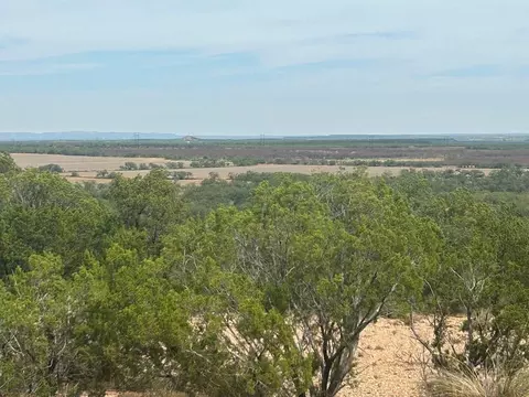 tbd Fm 2333, Bronte, TX 76933