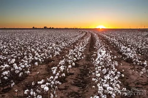 0000 Fm 2334, San Angelo, TX 76903
