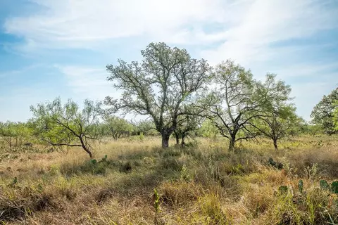 6960 Buck Rdg, Brady, TX