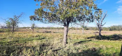 201 Orchard Ln, Mertzon, TX 76941