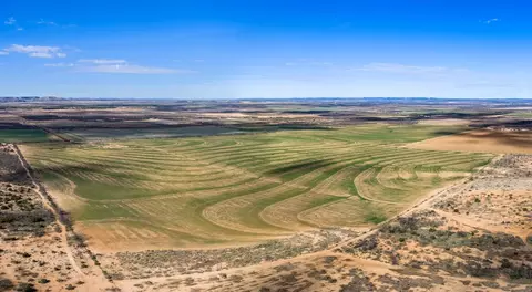 0 County Rd 393, Bronte, TX 76861 photo 3