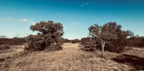 320 Turkey Run Rd, Eldorado, TX 76936