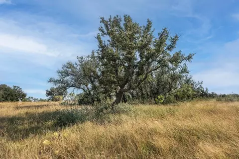 2250 Buck Rdg, Melvin, TX 76858