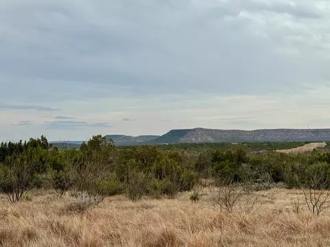 537 Lone Mills Rd, Robert Lee, TX 76945