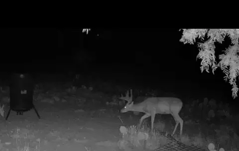 0000 Fm 1828, Eldorado, TX 78624